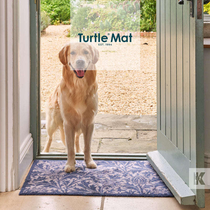 Labrador standing on a Turtle Mat in a doorway